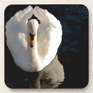 Dessous-de-verre Cygne