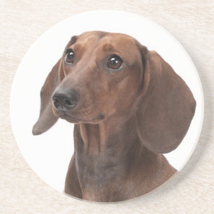 Dessous de verre Dachshund