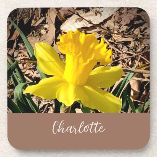 Dessous-de-verre Daffodile de printemps jaune dans le jardin Nom pe (Devant)