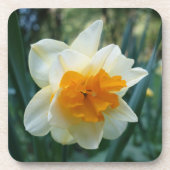Dessous-de-verre Daffodique (Devant)
