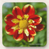 Dessous de verre Dahlia Cork (Devant)