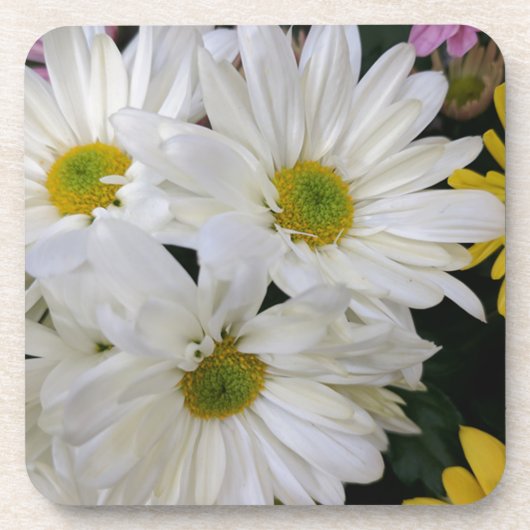 Dessous-de-verre Daisy (Devant)