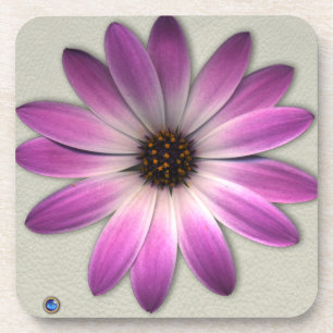Dessous-de-verre Daisy Magenta Rose sur Impression de Cuir Crème