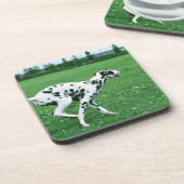 Dessous-de-verre Dalmate (Côté gauche)