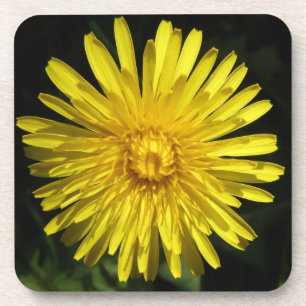 Dessous de verre Dandelion Cork