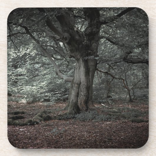 Dessous-de-verre Dans la forêt de conte de fées (Devant)