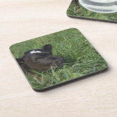 Dessous-de-verre Dans le zodiaque chinois, 2009 est année de boeuf (Côté gauche)