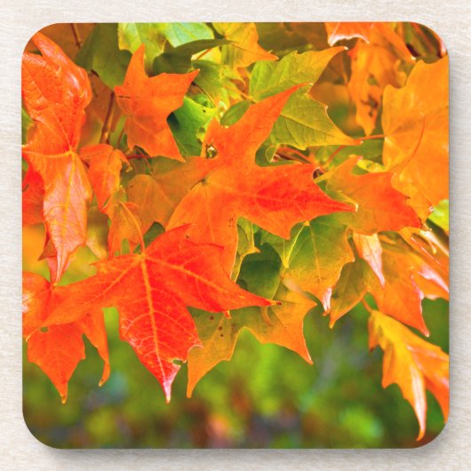 Dessous-de-verre Danse Maple Leaf (Devant)