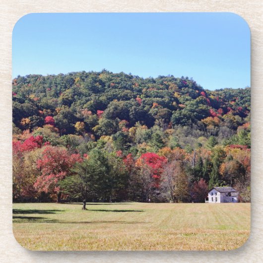 Dessous de verre d'automne (Devant)