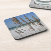 Dessous de verre d'avoine marine de Floride (Côté gauche)