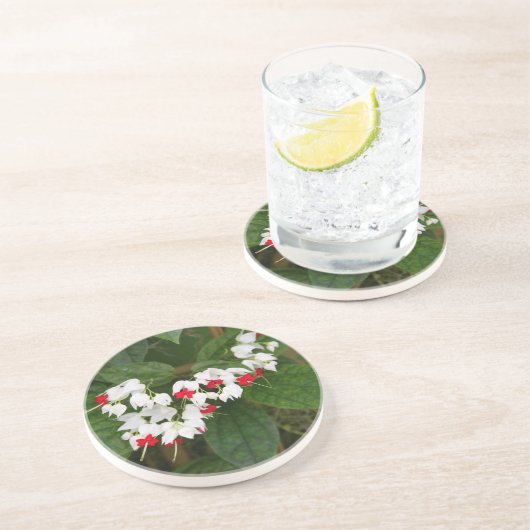 Dessous de verre de boissons de grès de vigne de (Côté)