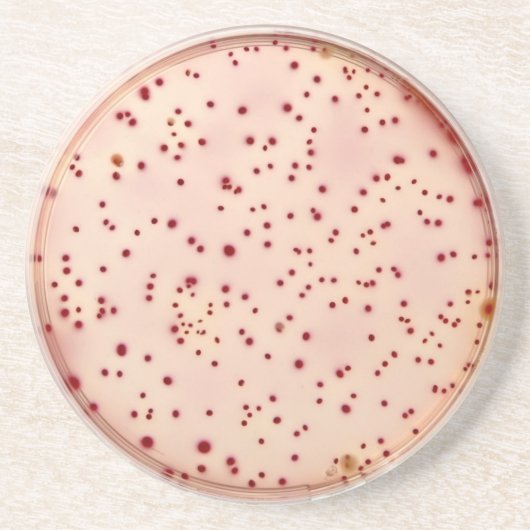 Dessous de verre de boîte de Pétri (Devant)