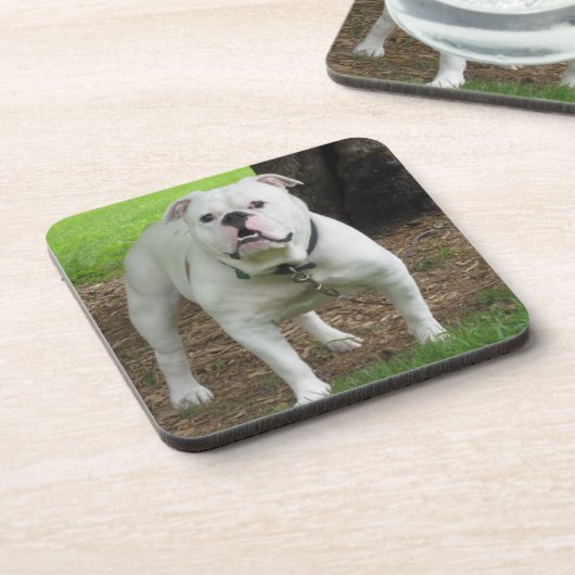 Dessous de verre de Bullodg (Côté gauche)