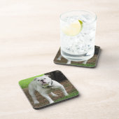 Dessous de verre de Bullodg (Côté Droit)