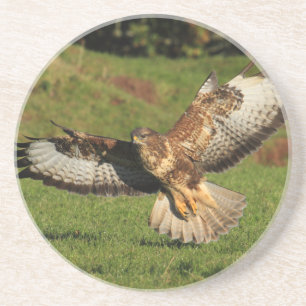 Dessous de verre de Buzzard