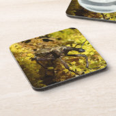 Dessous de verre de charançon (Côté gauche)