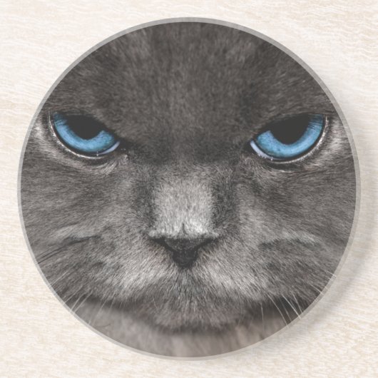 Dessous de verre de chat (Devant)