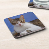 Dessous de verre de chat (Côté gauche)