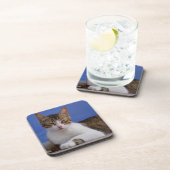 Dessous de verre de chat (Côté Droit)