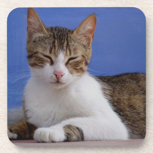 Dessous de verre de chat (Devant)