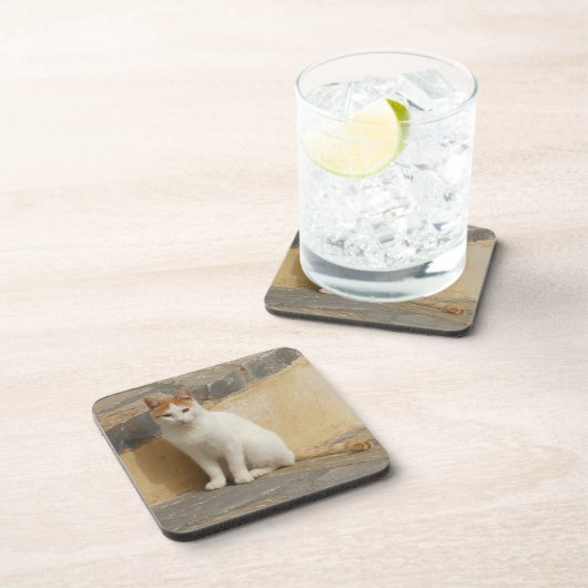 Dessous de verre de chat (Côté Droit)
