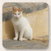 Dessous de verre de chat (Devant)