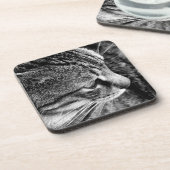 Dessous de verre de chat (Côté gauche)