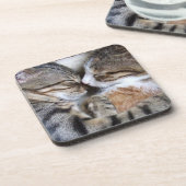 Dessous de verre de chat (Côté gauche)