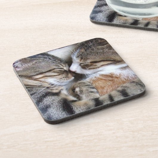 Dessous de verre de chat (Côté gauche)