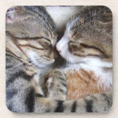 Dessous de verre de chat (Devant)