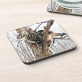 Dessous de verre de chat (Côté gauche)