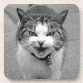 Dessous de verre de chat de crabe (Devant)