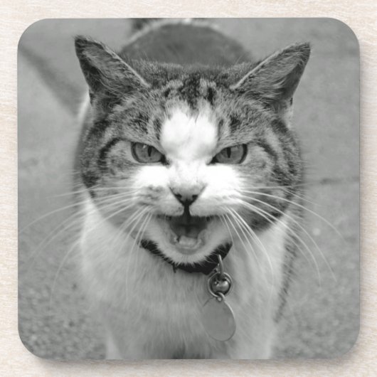 Dessous de verre de chat de crabe (Devant)