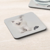 Dessous de verre de chaton de Ragdoll de Bluepoint (Côté gauche)