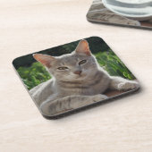 Dessous de verre de chats gris (Côté gauche)