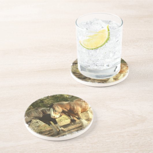 Dessous de verre de cheval de trait (Côté)