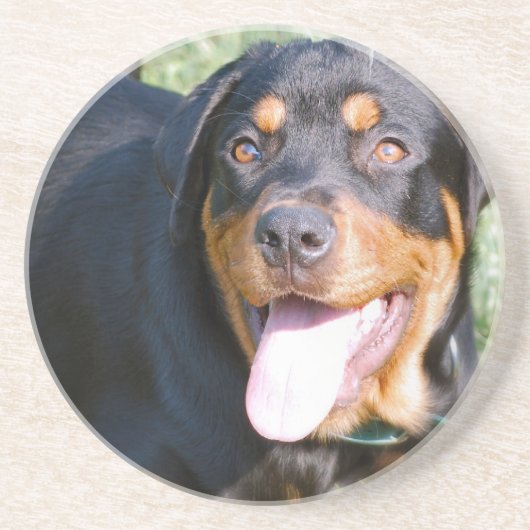 Dessous de verre de chien de rottweiler (Devant)