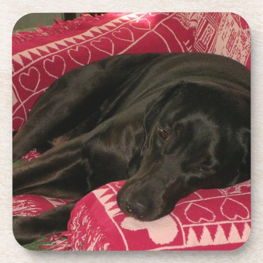 Dessous de verre de chien endormi - Ensemble de 6 (Devant)