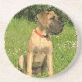 Dessous de verre de chiot de mastiff (Devant)