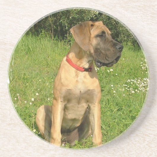 Dessous de verre de chiot de mastiff (Devant)