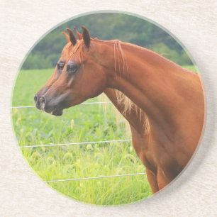 Dessous de verre de colts de la double image BOGO