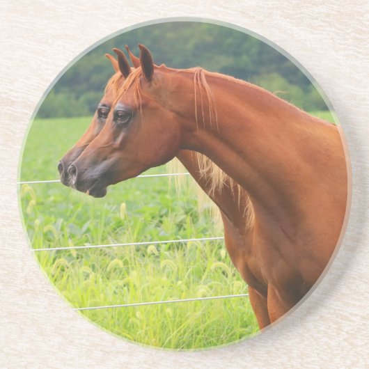 Dessous de verre de colts de la double image BOGO (Devant)