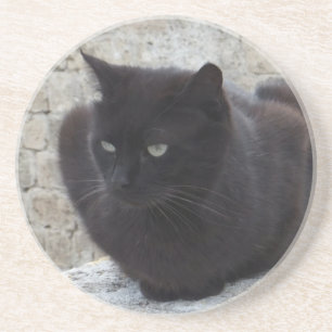 Dessous de verre de coutume de chat noir