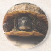 dessous de verre de Duncan (Devant)