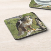 Dessous de verre de faucon coupés la queue par (Côté gauche)