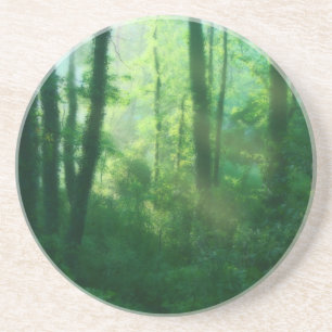 Dessous de verre de fertilité