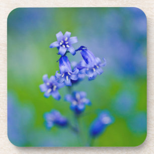 Dessous de verre de fleurs de Bluebells