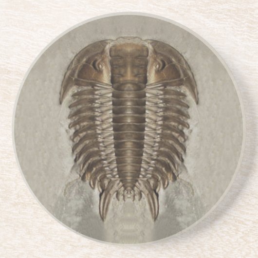 Dessous de verre de fossile de Trilobite (Devant)