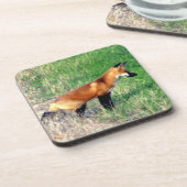 Dessous de verre de Fox rouge (Côté gauche)