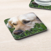 Dessous de verre de golden retriever (Côté gauche)
